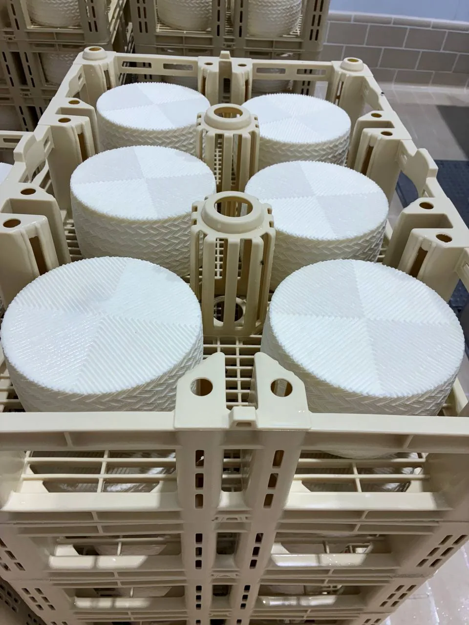 Piezas de queso recién elaboradas